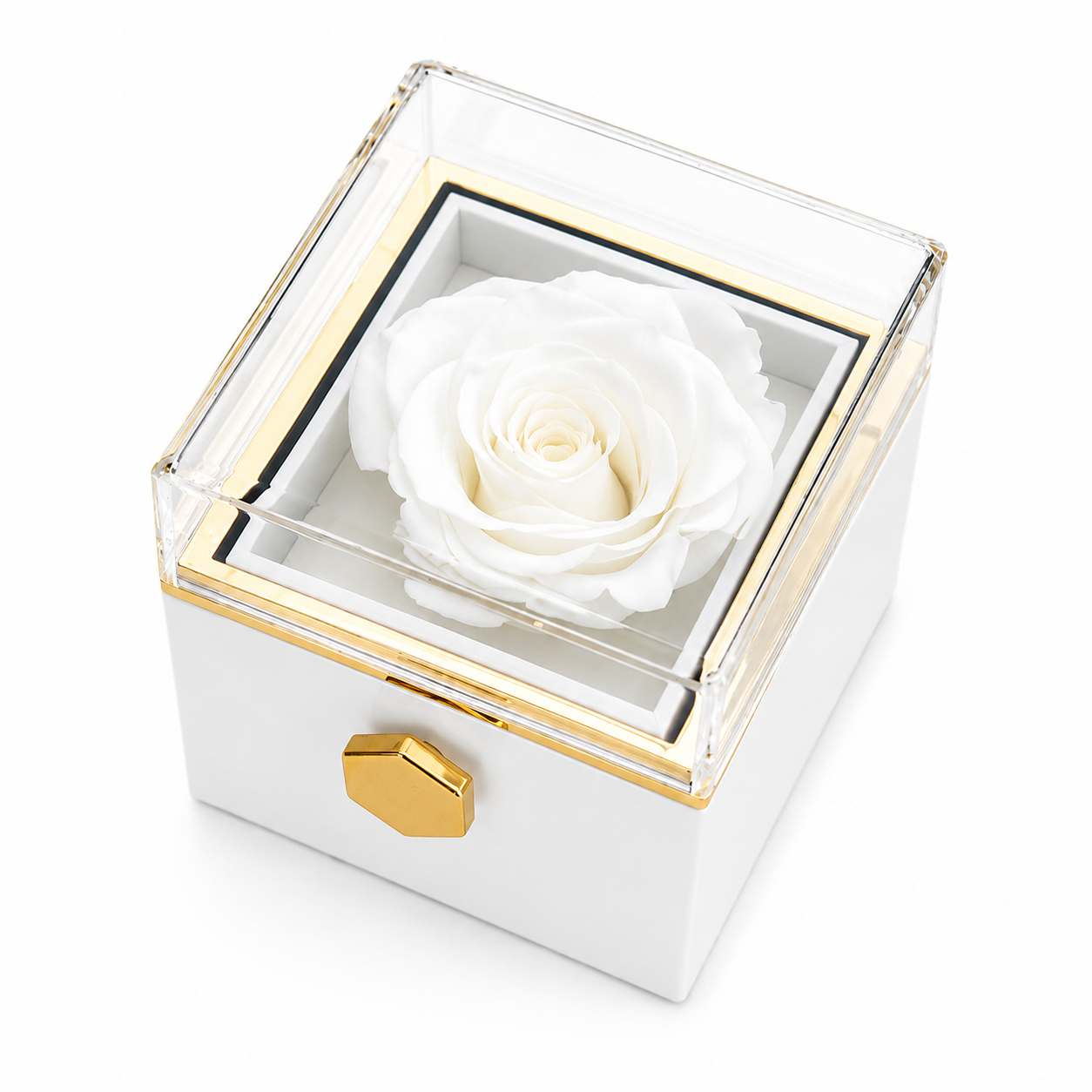 Ewige Rosenbox
